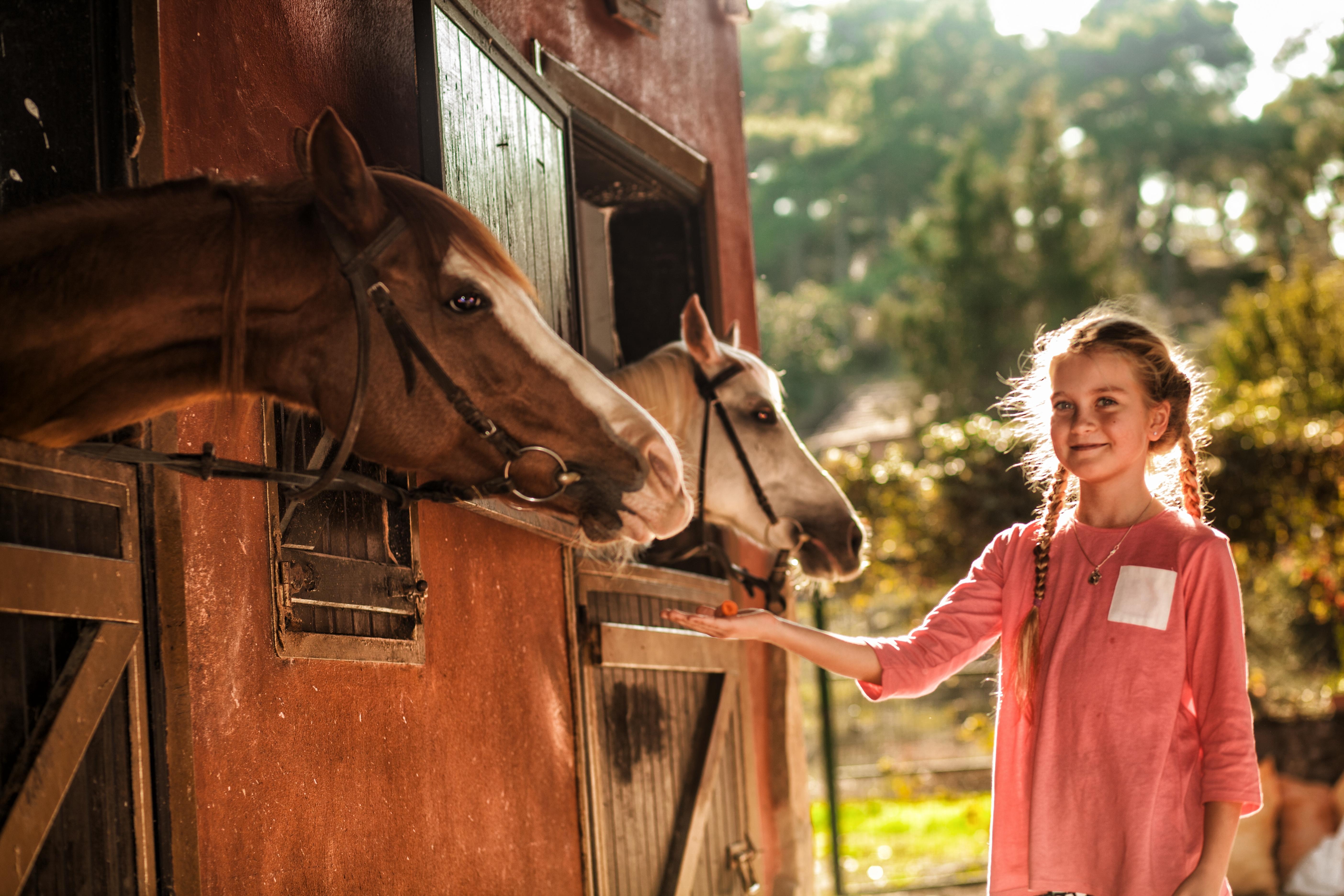 Hotel Berke Ranch&Nature เกเมร์ ภายนอก รูปภาพ