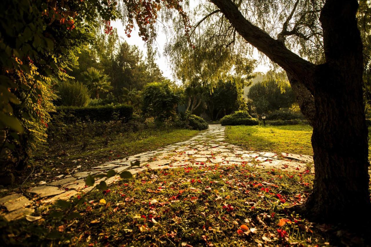 Hotel Berke Ranch&Nature เกเมร์ ภายนอก รูปภาพ