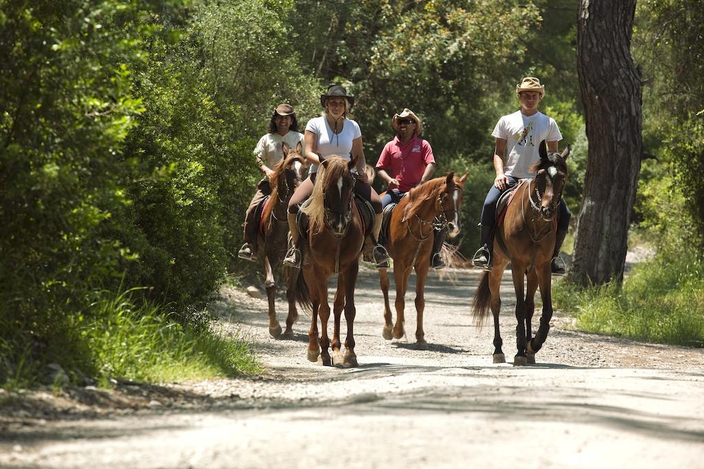 Hotel Berke Ranch&Nature เกเมร์ ภายนอก รูปภาพ