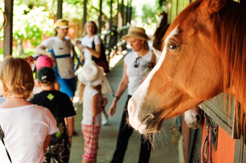 Hotel Berke Ranch&Nature เกเมร์ ภายนอก รูปภาพ