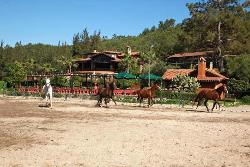 Hotel Berke Ranch&Nature เกเมร์ ภายนอก รูปภาพ